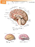 Sobotta Atlas of Human Anatomy  Head,Neck,Upper Limb Volume1 2006, page 327